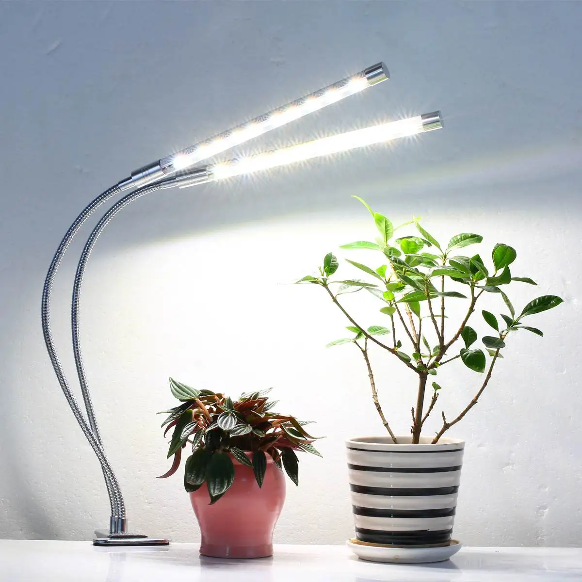 Красный свет для растений для чего. Фитолампа led grow Light. Фито светильник для растений. "Полный спектр - 20 ватт". Фитолампа для фикуса. Фитолампа для бонсай.