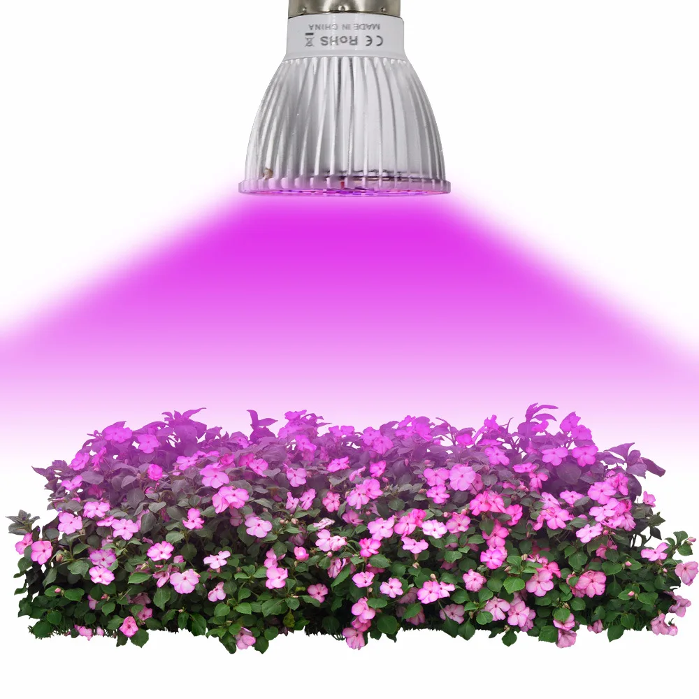 Как называется лампа для цветов: Фитолампы (фитосветильники) — лампы .