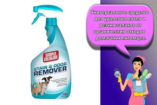 Спрей или аэрозоль для удаления запаха кошачьей мочи