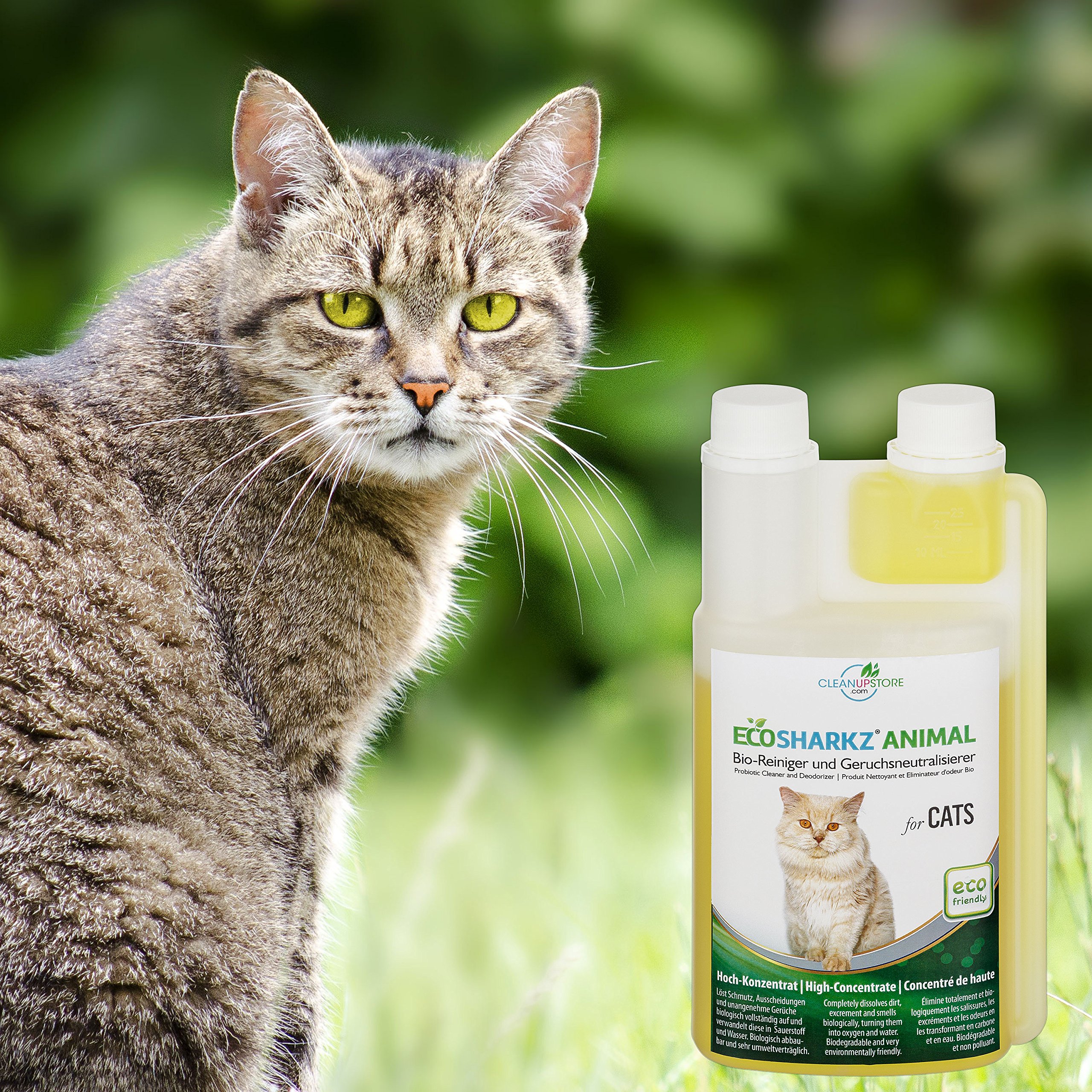 вывести запах кошачьей мочи с матраса в домашних условиях