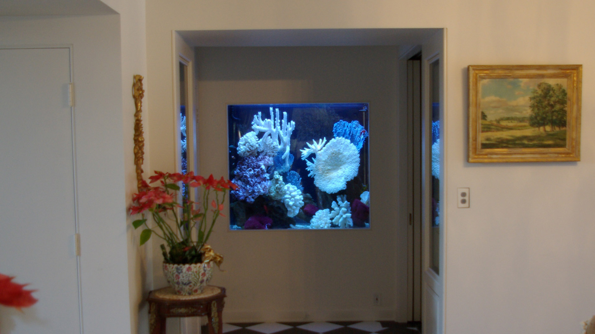 Квадратный аквариум в стене